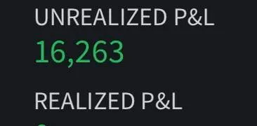 $16,263 unrealized P&L.